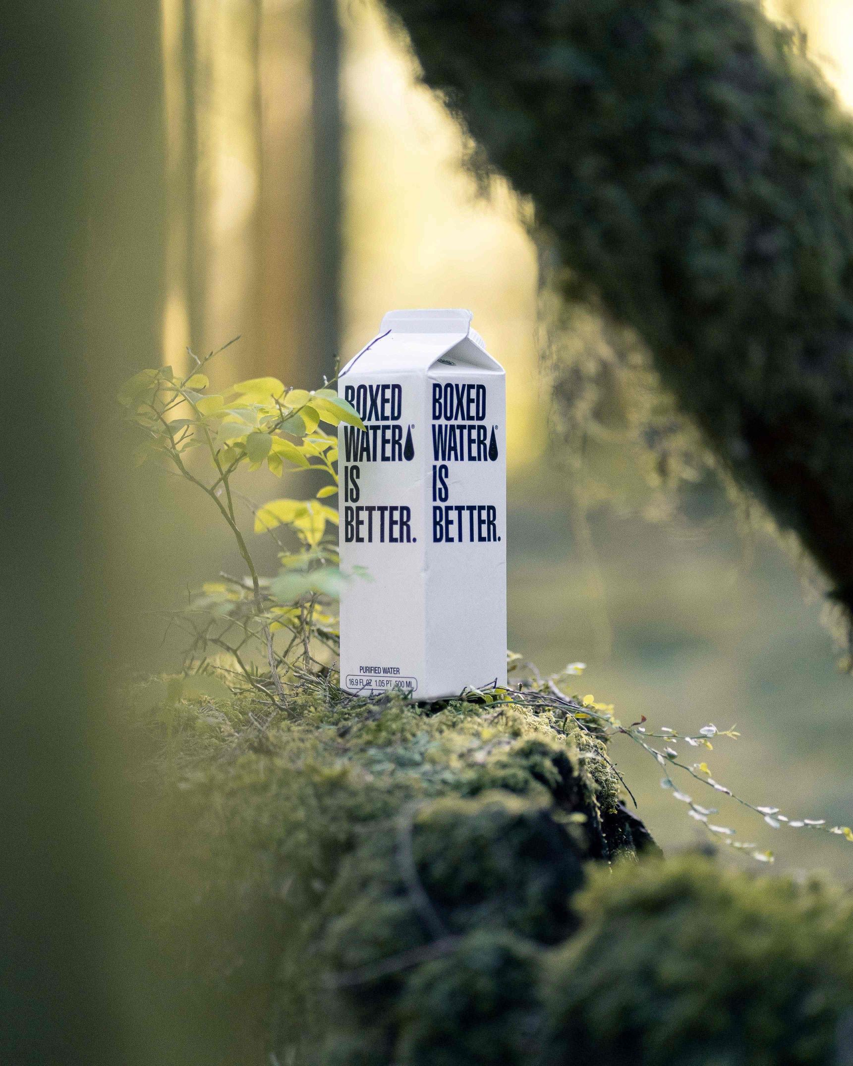 Boxed water is better L Wagu5 Wep HU unsplash